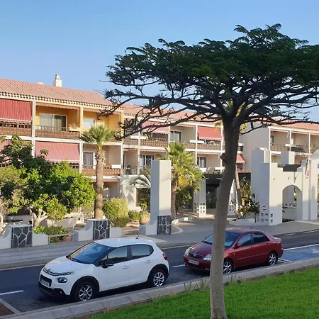 Marino Tenerife-3